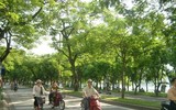 [ẢNH] Lạc lối giữa những con đường lãng mạn như phim trường